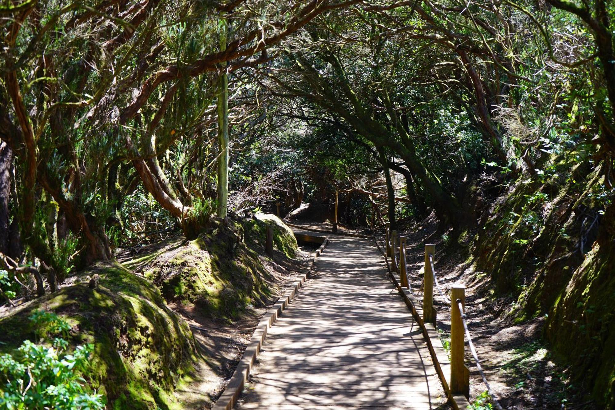 Las Americas Beach House アロナ エクステリア 写真